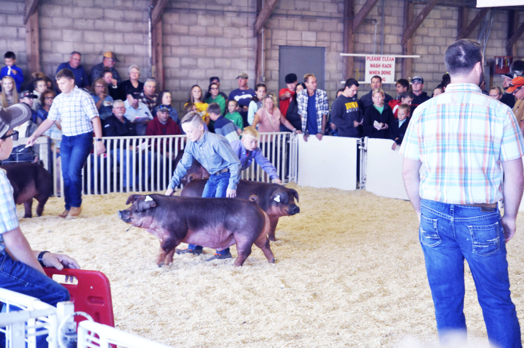 Walworth County Fair 10